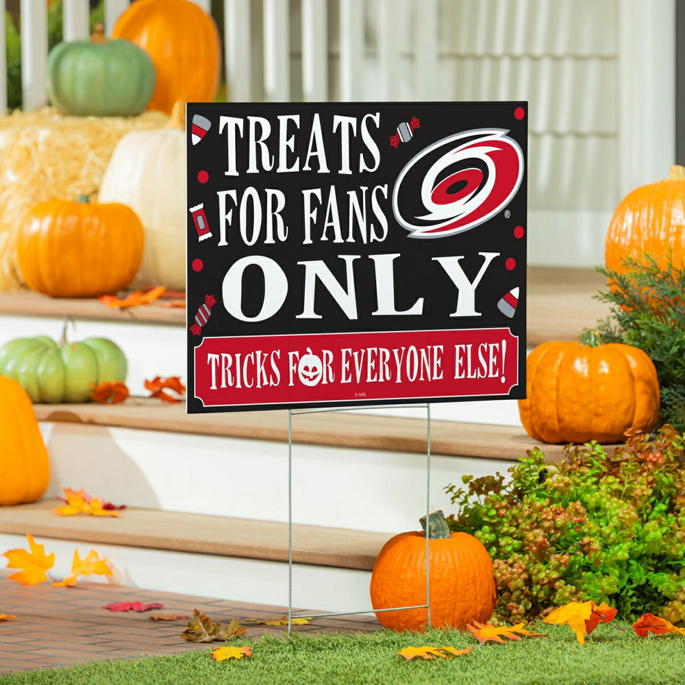 Carolina Hurricanes Yard Sign, Halloween Treats for Fans, NHL, Home