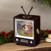 Florida State University Vintage TV Water Lantern, Collegiate, Home