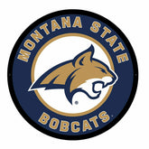 LED Wall Decor, Round, Montana State University, Collegiate, Home