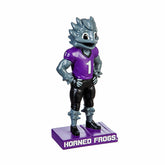 Texas Christian University, Mascot Statue, Collegiate, Home