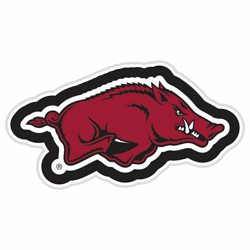 LED Wall Decor, Glazelite, College Mascot, University of Arkansas, Collegiate, Home