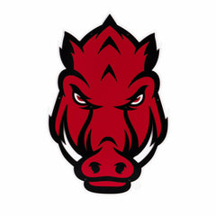University of Arkansas Premier Metal Wall Art, Collegiate, Home