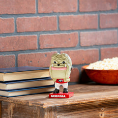 Lil Big Head Statue, Mascot, University of Georgia, Collegiate, Home