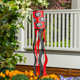 University of Georgia Windsock, Collegiate, Home