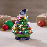 8" LED Ceramic Christmas Tree, University of Kentucky, Collegiate, Home
