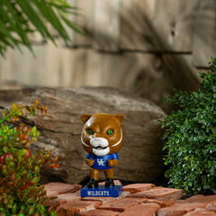 Lil Big Head Statue, Mascot, University of Kentucky, Collegiate, Home