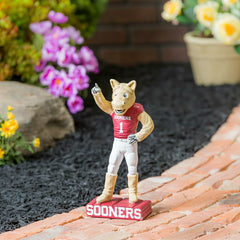 University of Oklahoma, Mascot Statue, Collegiate, Home
