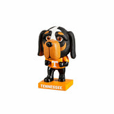 Lil Big Head Statue, Mascot, University of Tennessee, Collegiate, Home