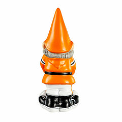 University of Tennessee, Garden Gnome, Collegiate