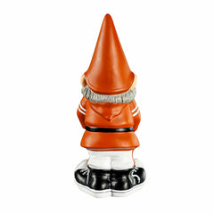 University of Texas, Garden Gnome, Collegiate
