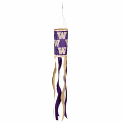 University of Washington Windsock, Collegiate, Home