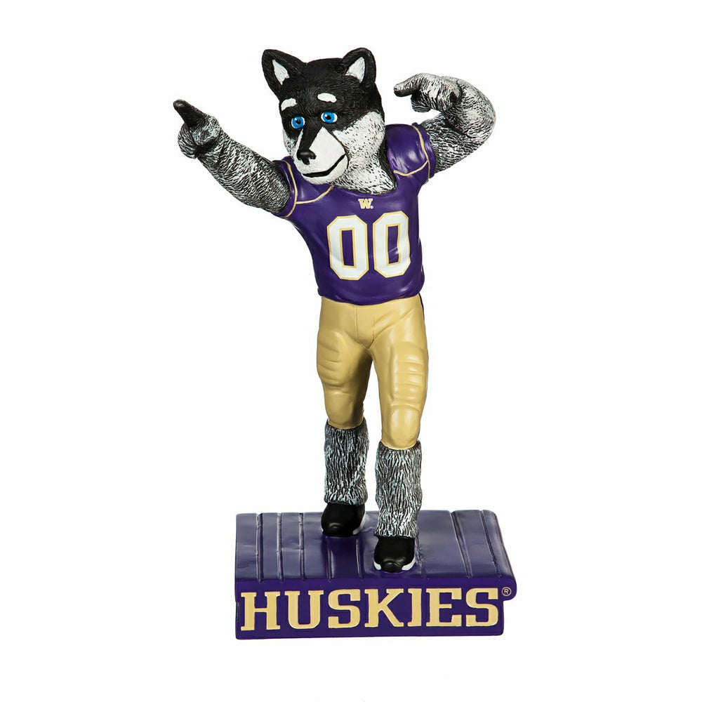 University of Washington Huskies, Mascot Statue, Collegiate, Home