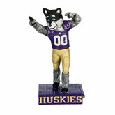 University of Washington Huskies, Mascot Statue, Collegiate, Home