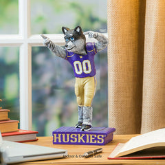 University of Washington Huskies, Mascot Statue, Collegiate, Home