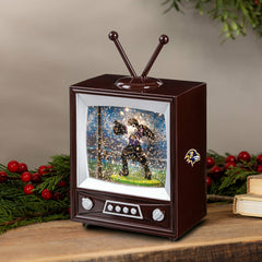 Baltimore Ravens Vintage TV Water Lantern, NFL, Home
