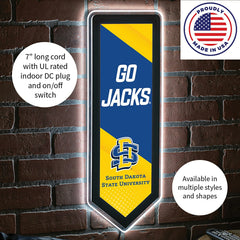 LED Wall Decor, Pennant, South Dakota State University, Collegiate, Home