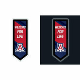LED Wall Decor, Pennant, University of Arizona, Collegiate, Home