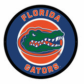 LED Wall Decor, Round, University of Florida, Collegiate, Home
