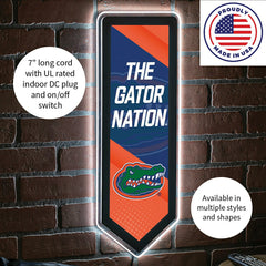 LED Wall Decor, Pennant, University of Florida, Collegiate, Home