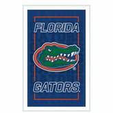 University of Florida College Rectangle Neolite LED Decor, Collegiate, Home