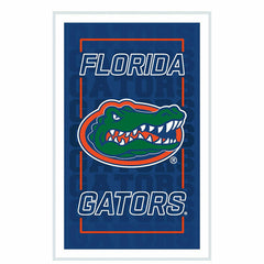 University of Florida College Rectangle Neolite LED Decor, Collegiate, Home