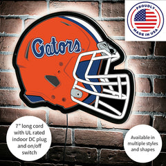 LED Wall Decor, Helmet, University of Florida, Collegiate, Home