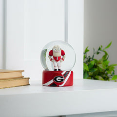 Water Globe, University of Georgia, Collegiate, Home