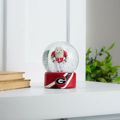 Water Globe, University of Georgia, Collegiate, Home