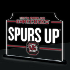 University of South Carolina College Rectangle Desklite LED Decor, Collegiate, Home