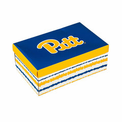 University of Pittsburgh, Stemless 17OZ Glass & Tankard 16OZ Gift Set, Home, Collegiate