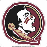 LED Wall Decor, Glazelite, College Mascot, Florida State University, Collegiate, Home