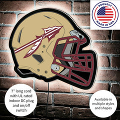 LED Wall Decor, Helmet, Florida State University, Collegiate, Home