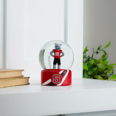 Water Globe, North Carolina State University, Collegiate, Home