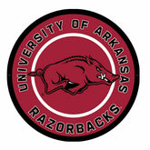 LED Wall Decor, Round, University of Arkansas, Collegiate, Home