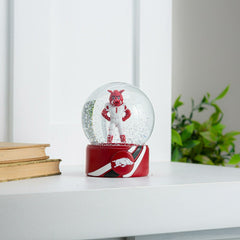 Water Globe, University of Arkansas, Collegiate, Home