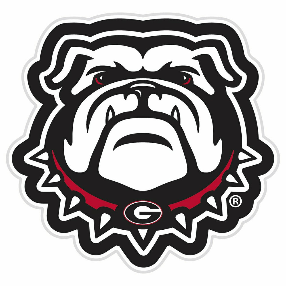 LED Wall Decor, Glazelite, College Mascot, University of Georgia, Collegiate, Home