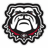 LED Wall Decor, Glazelite, College Mascot, University of Georgia, Collegiate, Home