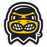 LED Wall Decor, Glazelite, College Mascot, University of Iowa, Collegiate, Home