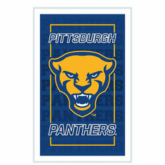 University of Pittsburgh College Rectangle Neolite LED Decor, Collegiate, Home