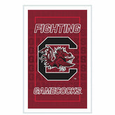 University of South Carolina College Rectangle Neolite LED Decor, Collegiate, Home
