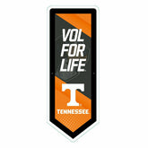 LED Wall Decor, Pennant, University of Tennessee, Collegiate, Home