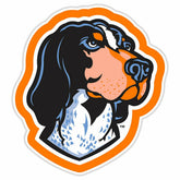 LED Wall Decor, Glazelite, College Mascot, University of Tennessee, Collegiate, Home