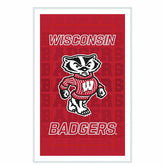 University of Wisconsin-Madison College Rectangle Neolite LED Decor, Collegiate, Home