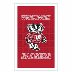 University of Wisconsin-Madison College Rectangle Neolite LED Decor, Collegiate, Home
