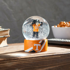 Water Globe, University of Tennessee, Collegiate, Home