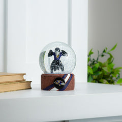 Water Globe, Baltimore Ravens, NFL, Home