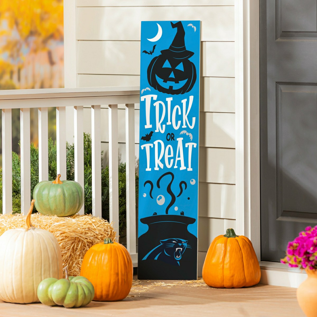 Carolina Panthers 47" Double Sided Leaner, Halloween, NFL, Home