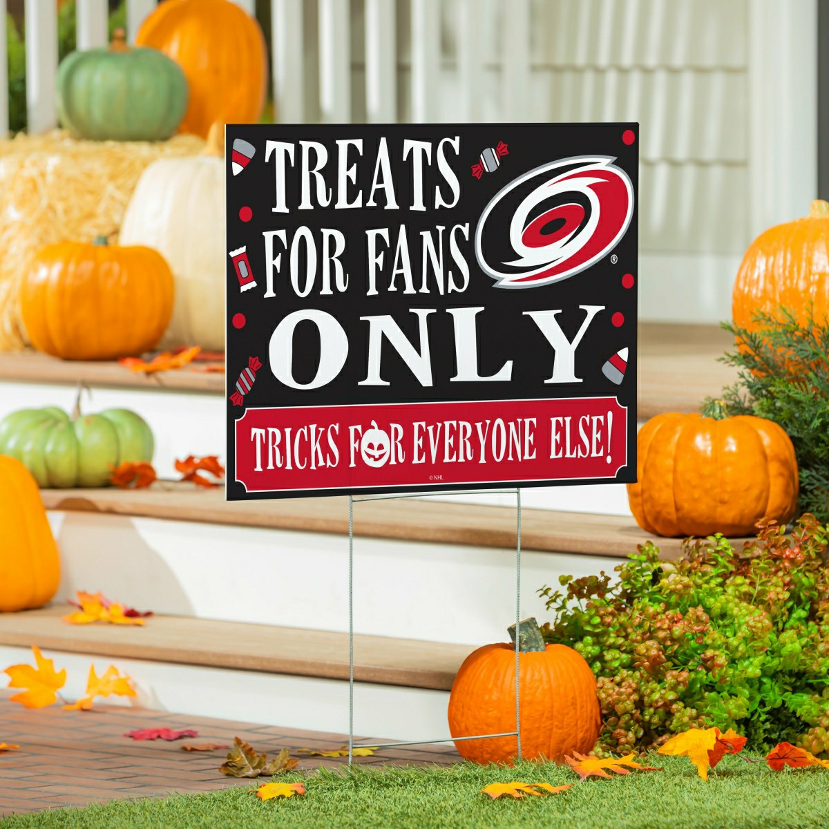 Carolina Hurricanes Yard Sign, Halloween Treats for Fans, NHL, Home