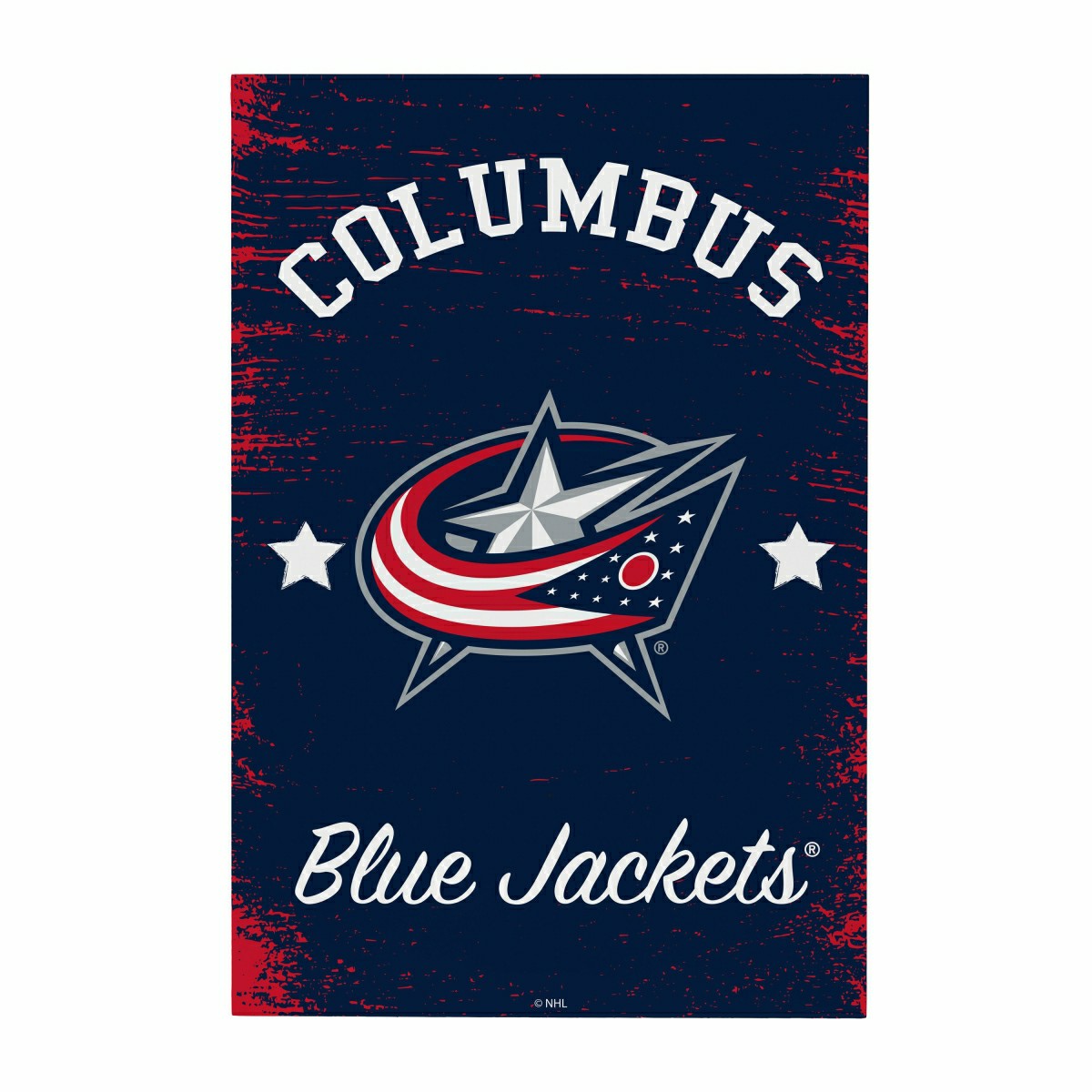Columbus Blue Jackets Wood Wall Sign, 16x24, NHL, Home