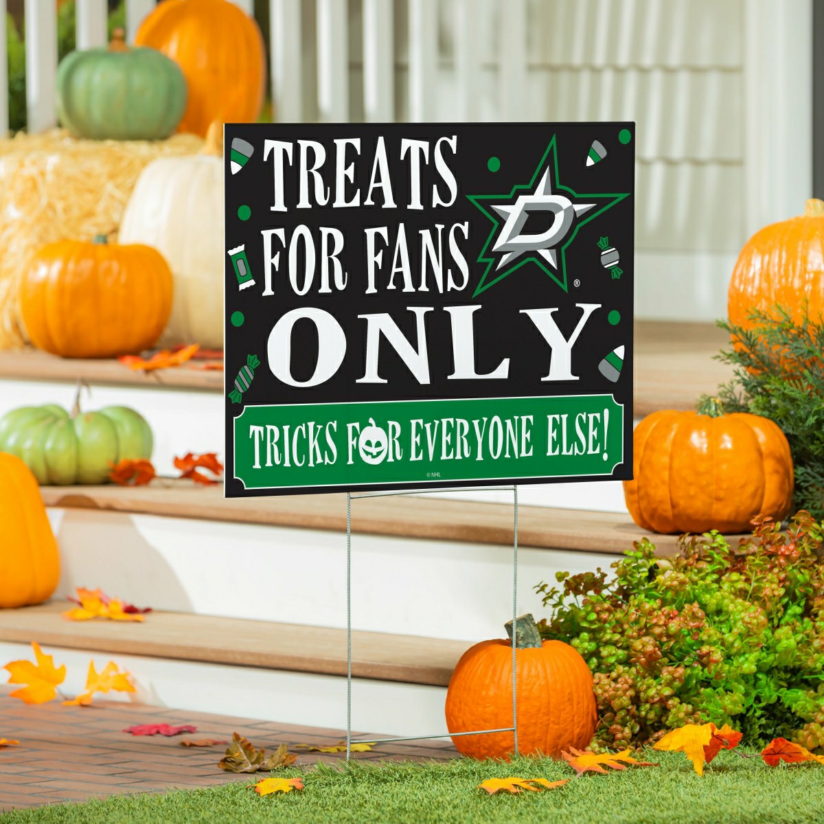 Dallas Stars Yard Sign, Halloween Treats for Fans, NHL, Home
